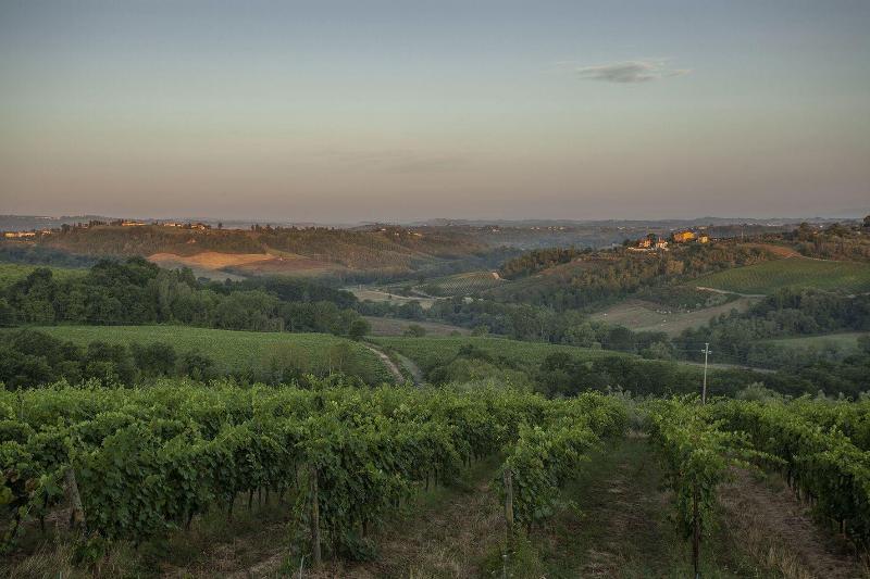 Tenuta Moriano image