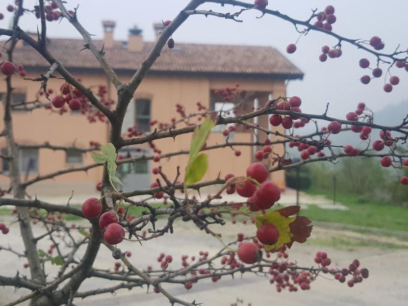 Agriturismo Ben Ti Voglio image