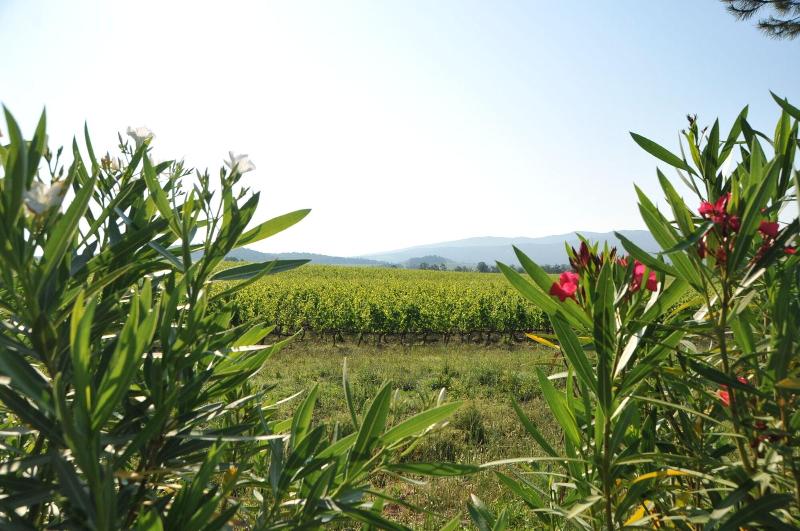Fattoria Casabianca — general view