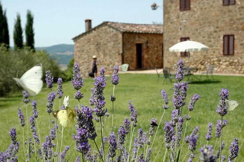 Fattoria Casabianca — general view