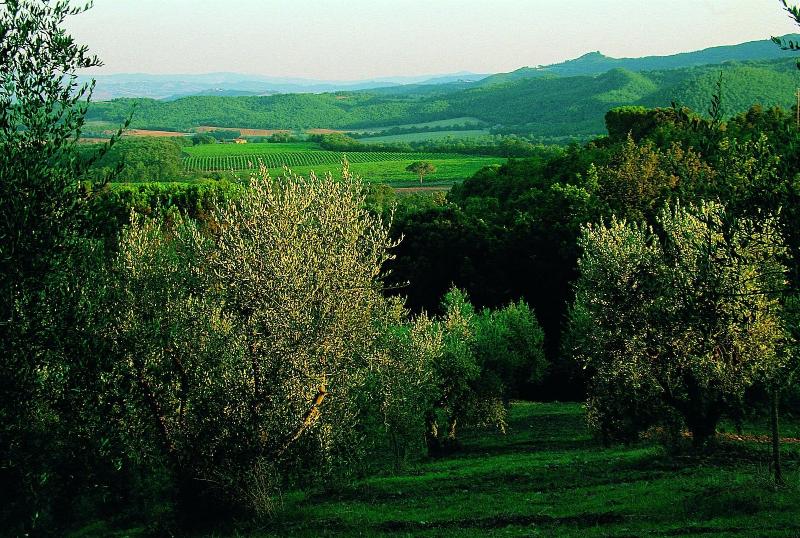 Fattoria Casabianca — general view