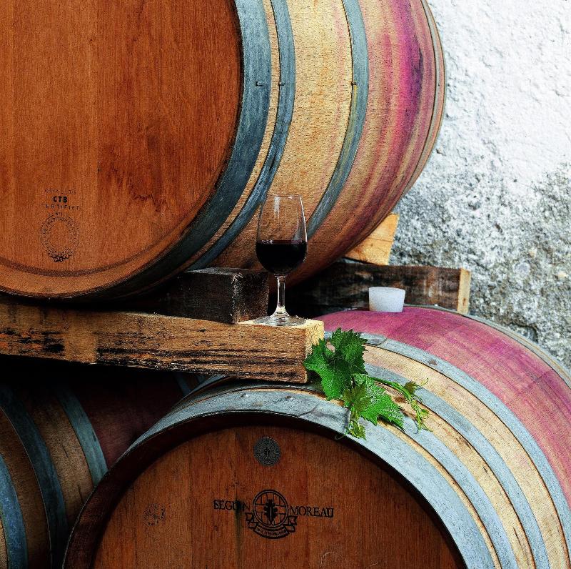Fattoria Casabianca image