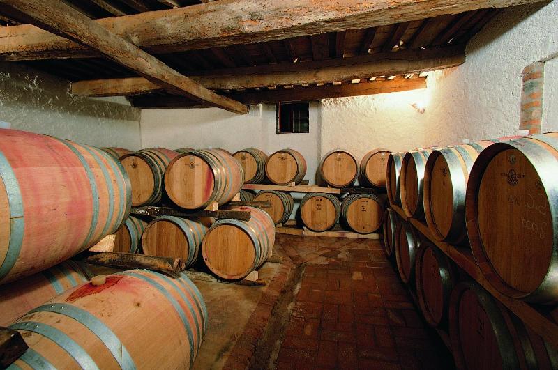 Fattoria Casabianca image