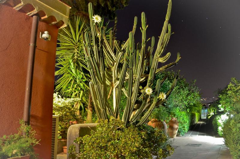 La Terra del Mezzo — photo 2