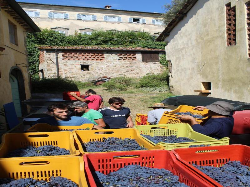 Fabbrica di San Martino image
