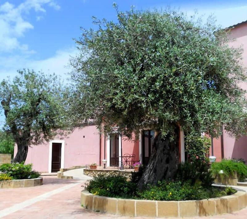 Agriturismo Badiula image