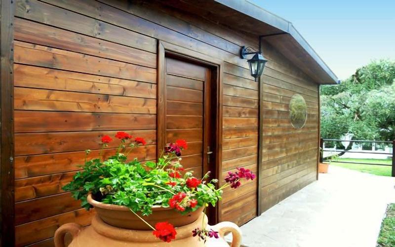 Agriturismo Badiula image