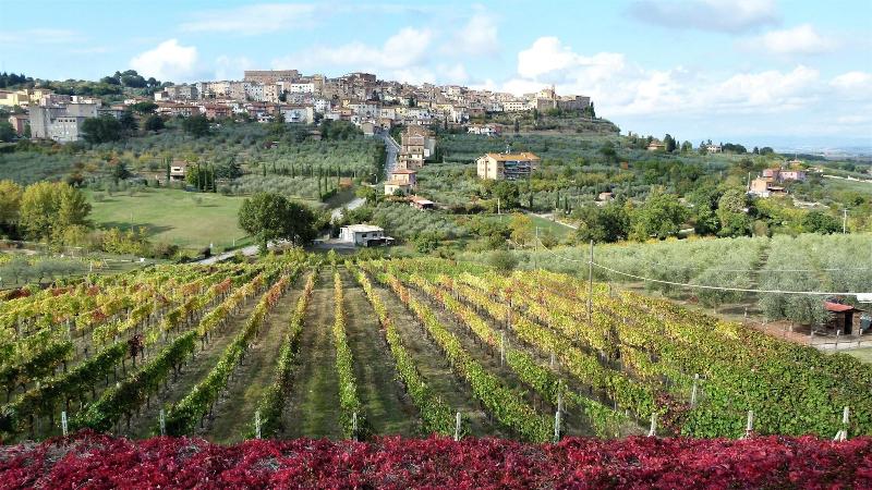 Agriturismo La Pietriccia image
