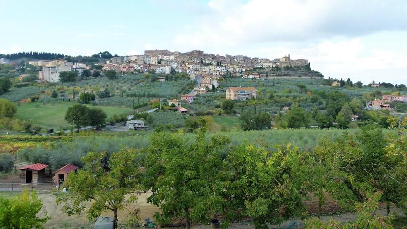 Agriturismo La Pietriccia image