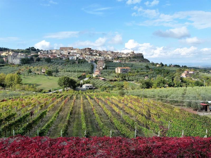 Agriturismo La Pietriccia image
