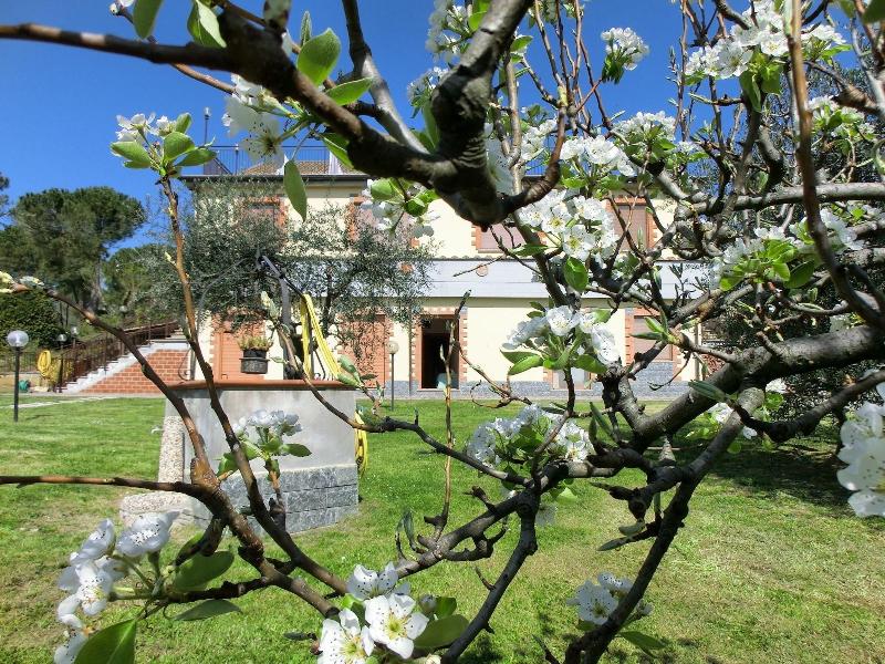 Agriturismo La Pietriccia image
