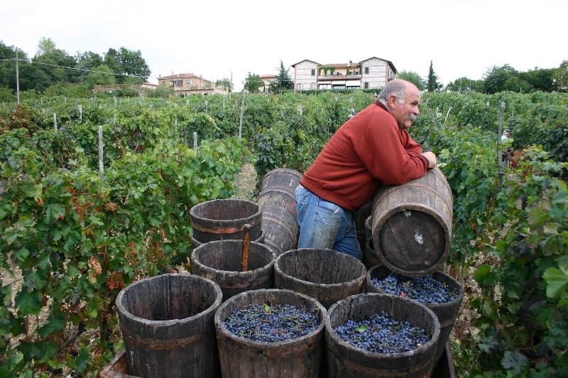 Agriturismo La Pietriccia image