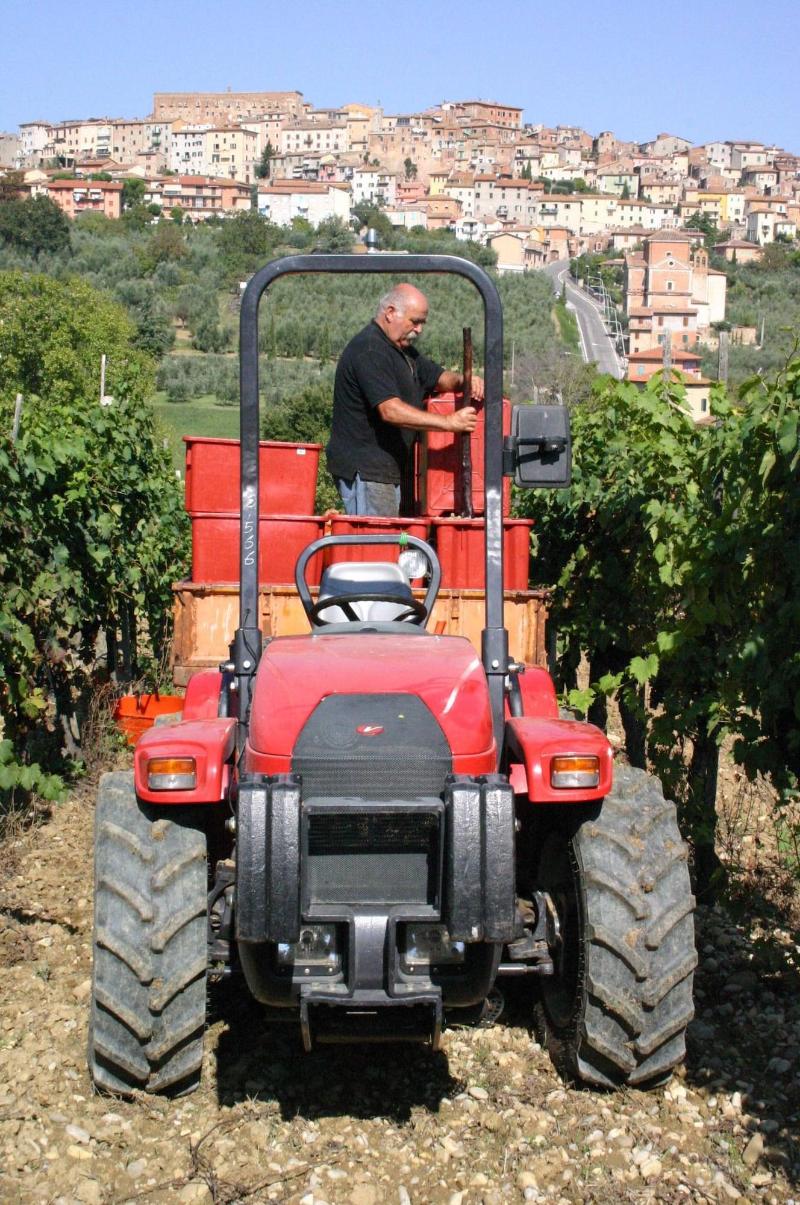 Agriturismo La Pietriccia image