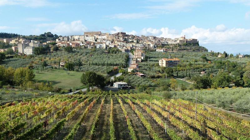 Agriturismo La Pietriccia image