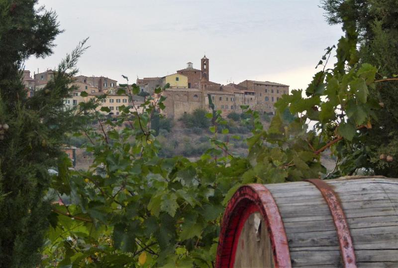 Agriturismo La Pietriccia image