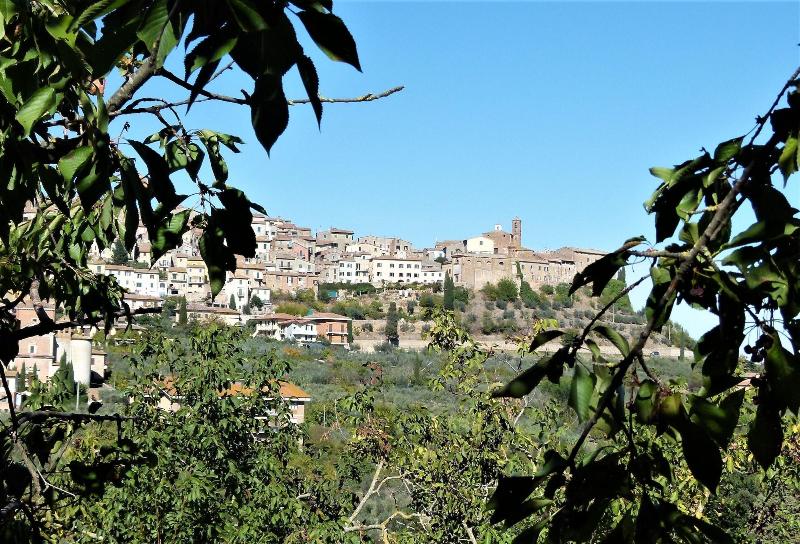 Agriturismo La Pietriccia image