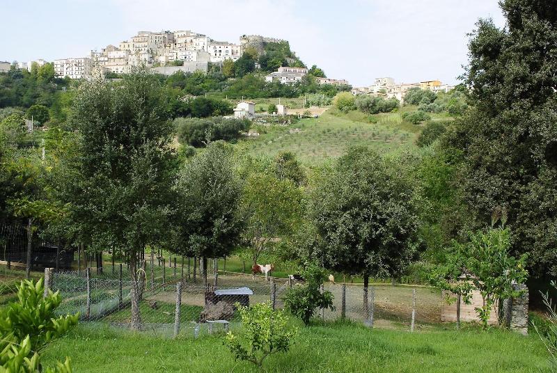 Agriturismo L'Arca image