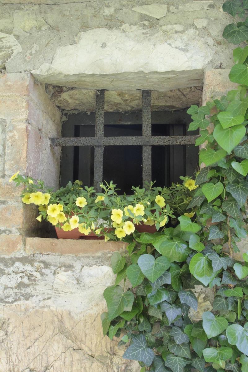 I Pianelli image