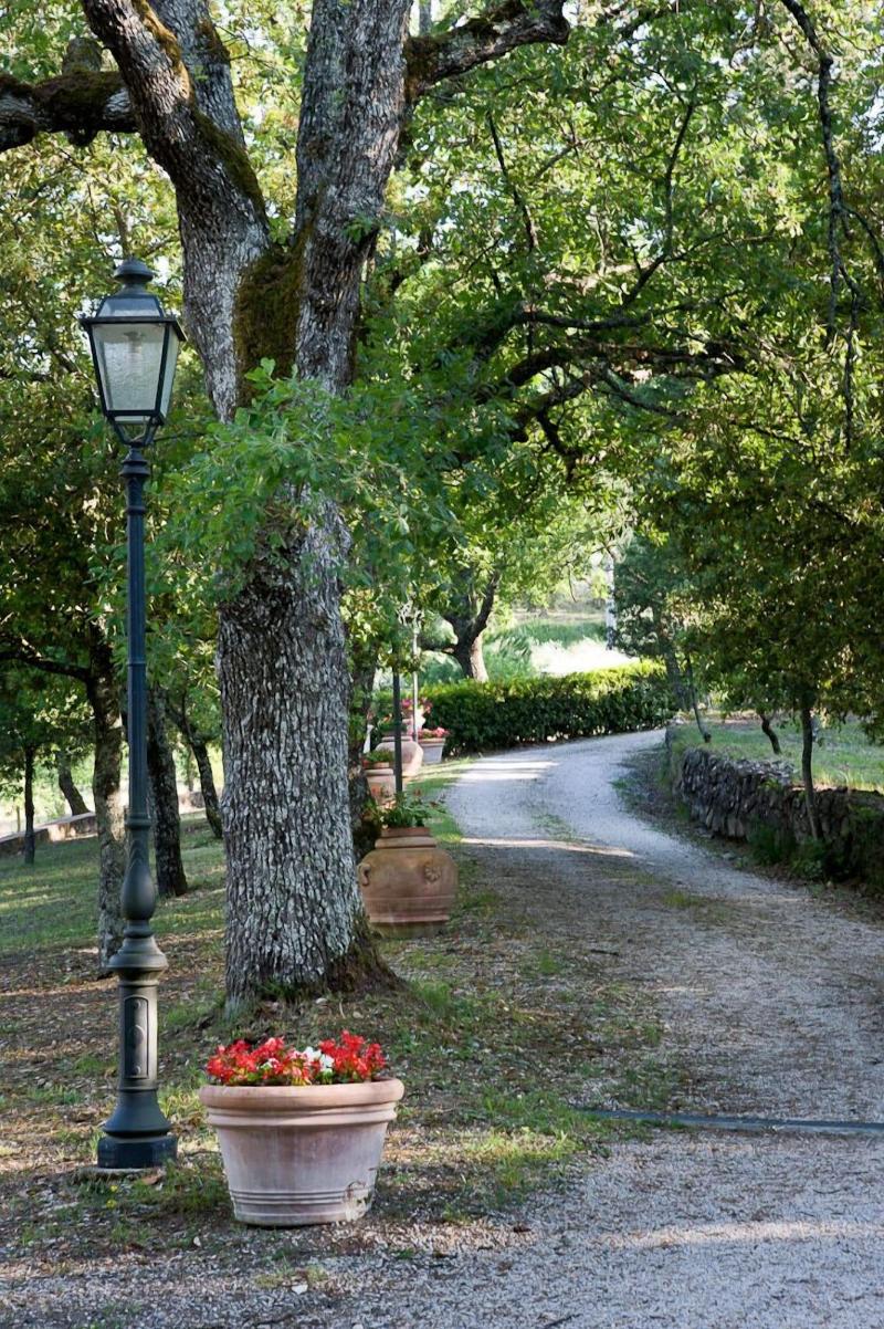 I Pianelli image