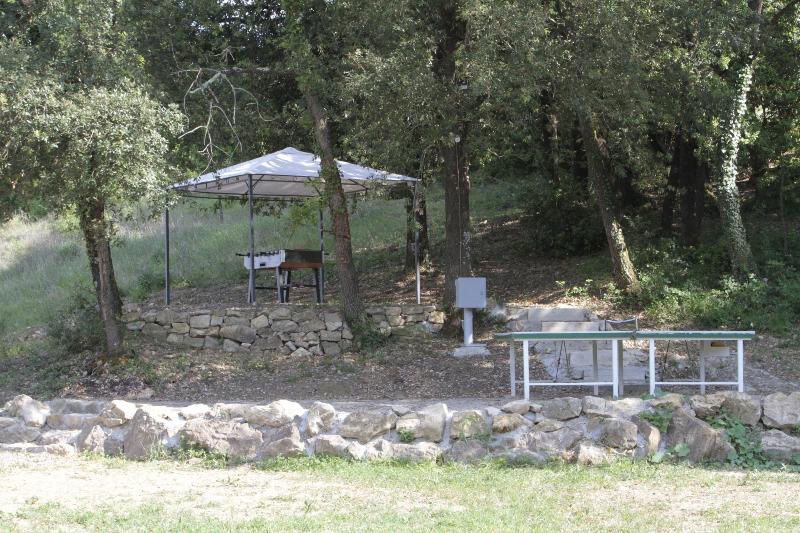 I Pianelli image