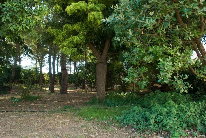Azienda Agricola Francesca Stajano image
