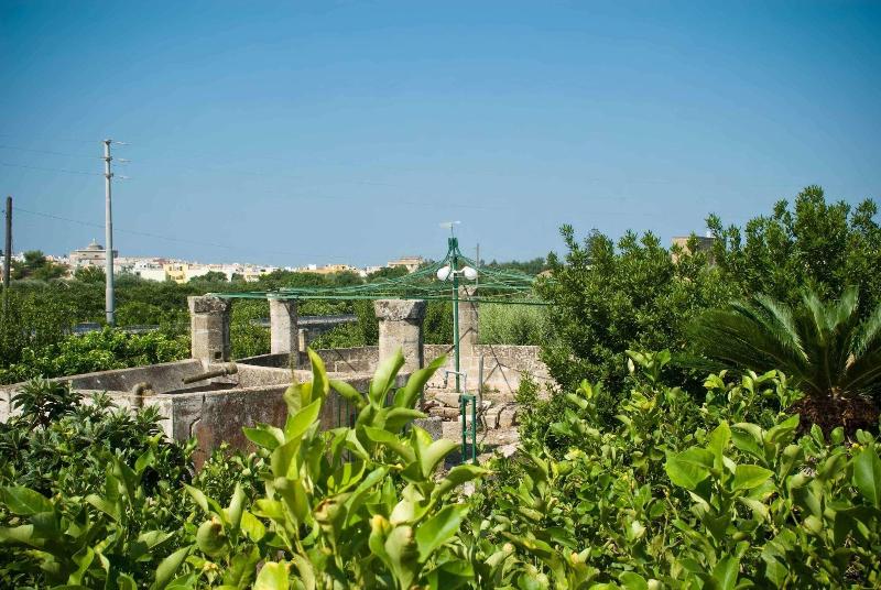 Azienda Agricola Francesca Stajano image