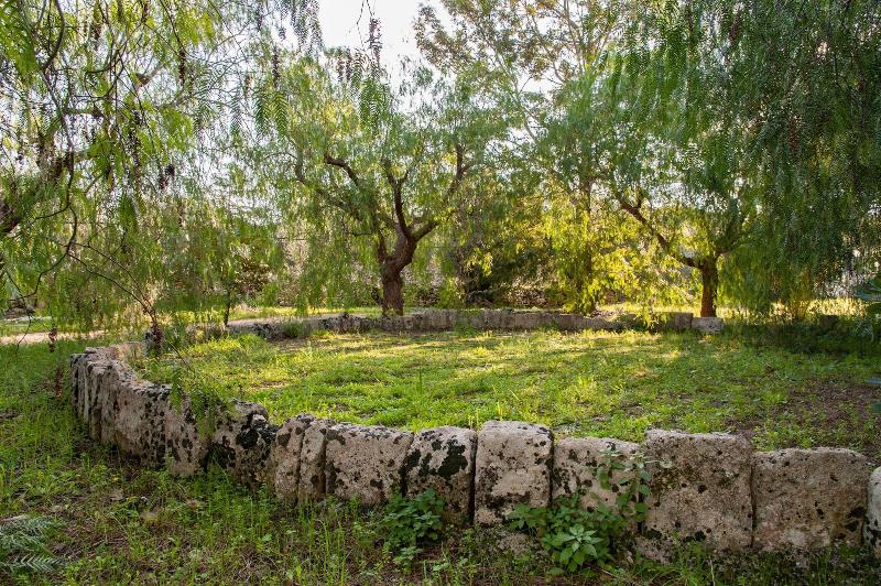 Azienda Agricola Francesca Stajano image