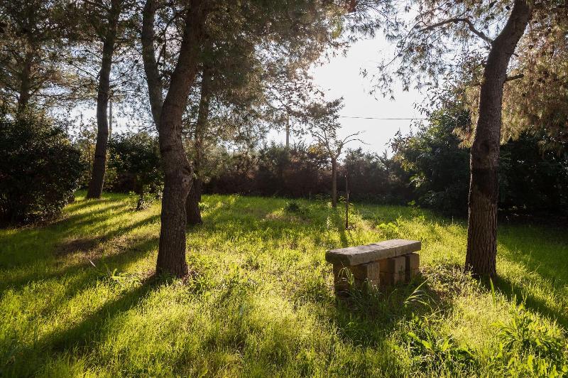Azienda Agricola Francesca Stajano image