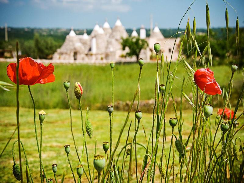 Trulli il Castagno image