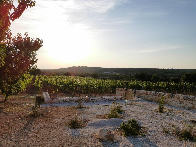 Trulli il Castagno image