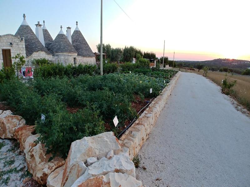 Trulli il Castagno image