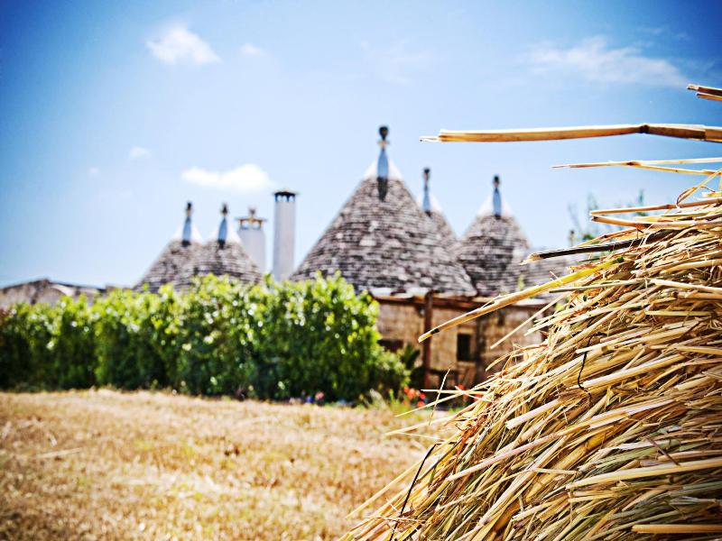 Trulli il Castagno image