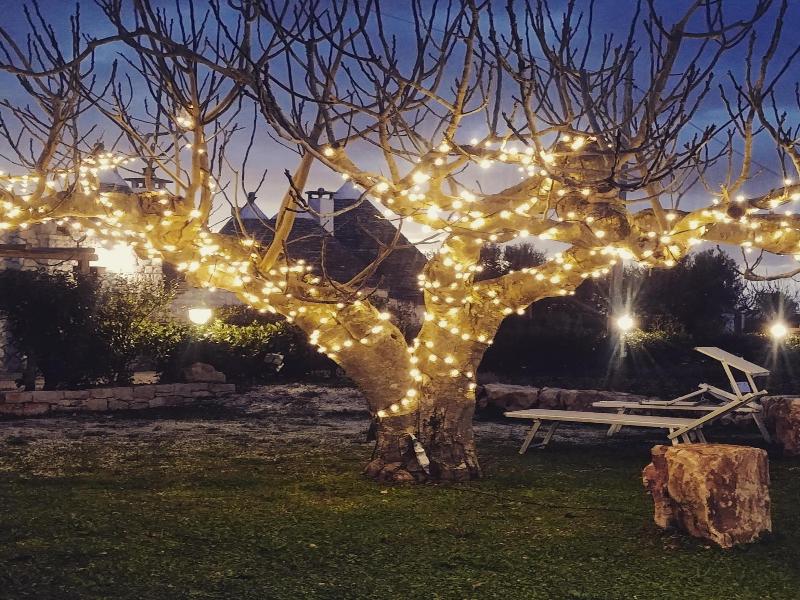 Trulli il Castagno image