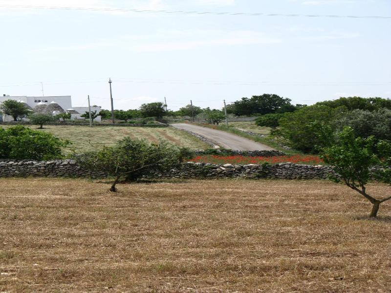 Trulli il Castagno image