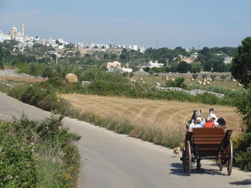 Trulli il Castagno image