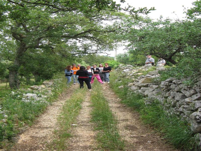 Trulli il Castagno image