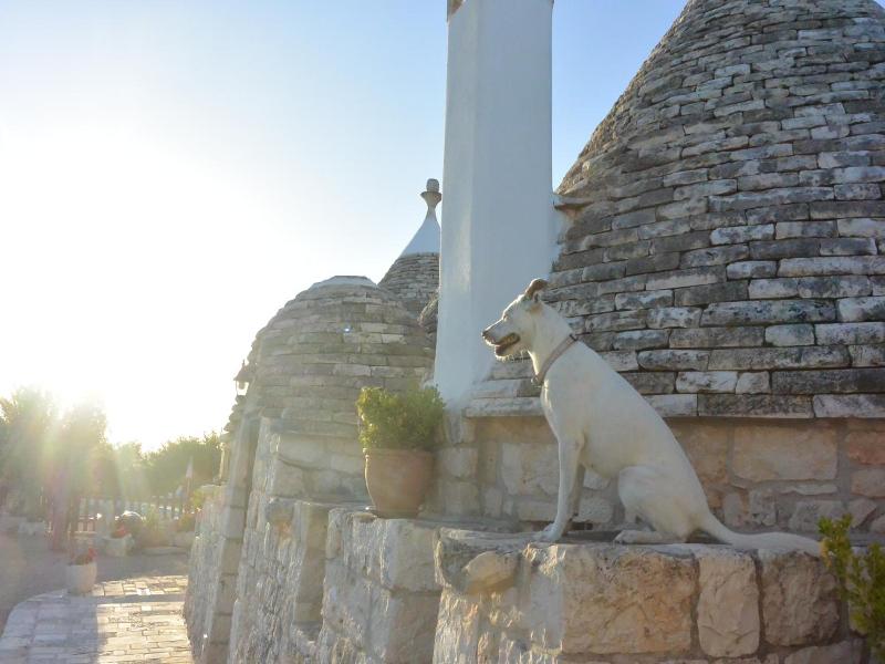 Trulli il Castagno image