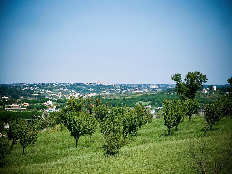Trulli il Castagno image