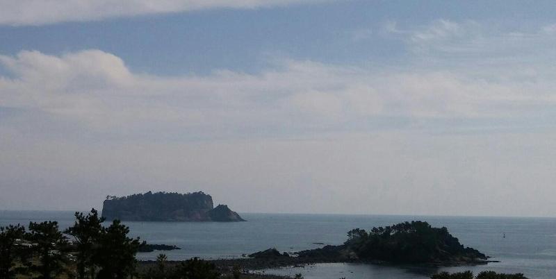 Marine Port Resort image