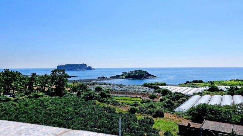 Marine Port Resort image