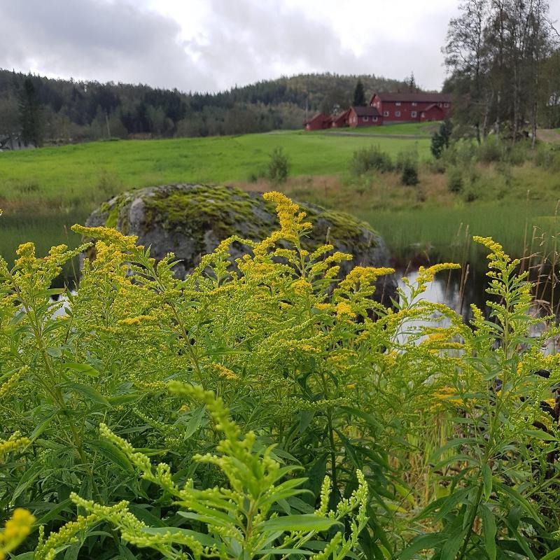 Heddan Gard Gjestegard image