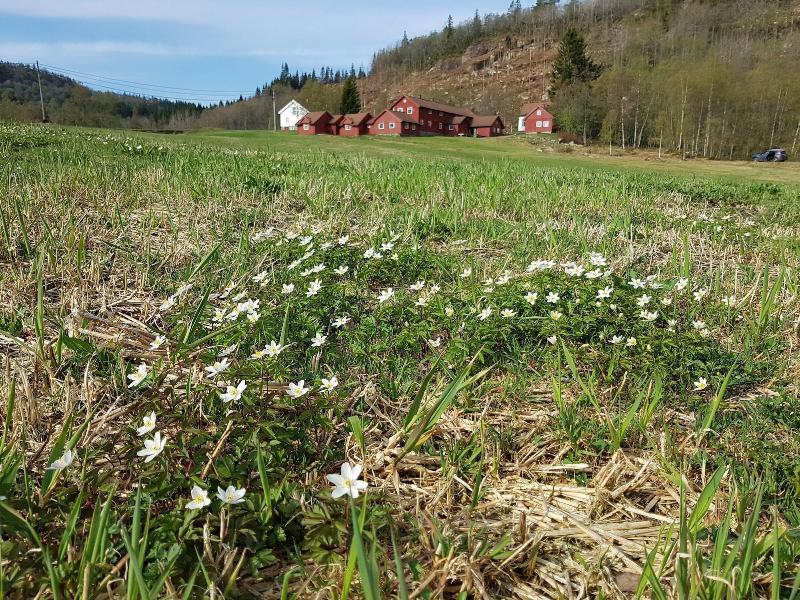 Heddan Gard Gjestegard image