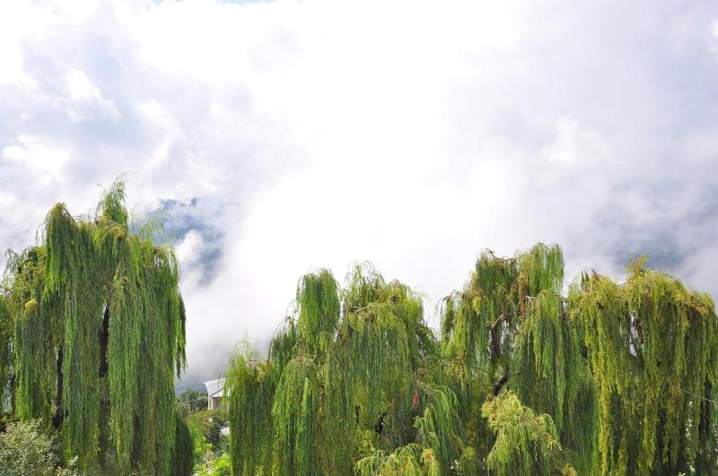 Hotel One Bhurban image
