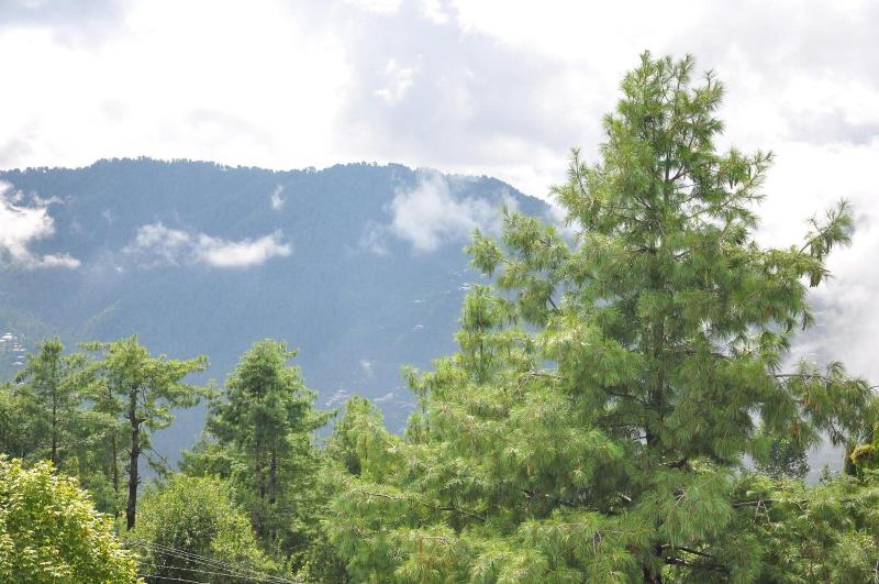Hotel One Bhurban image