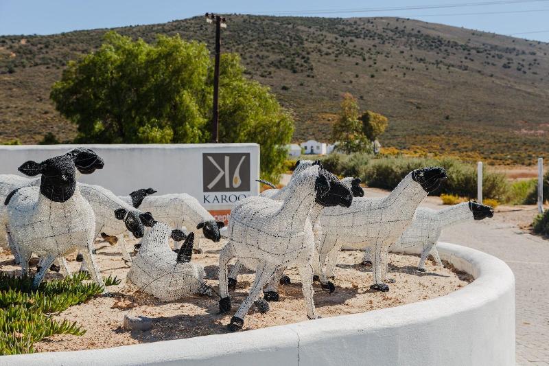 Karoo 1 Hotel Village — general view