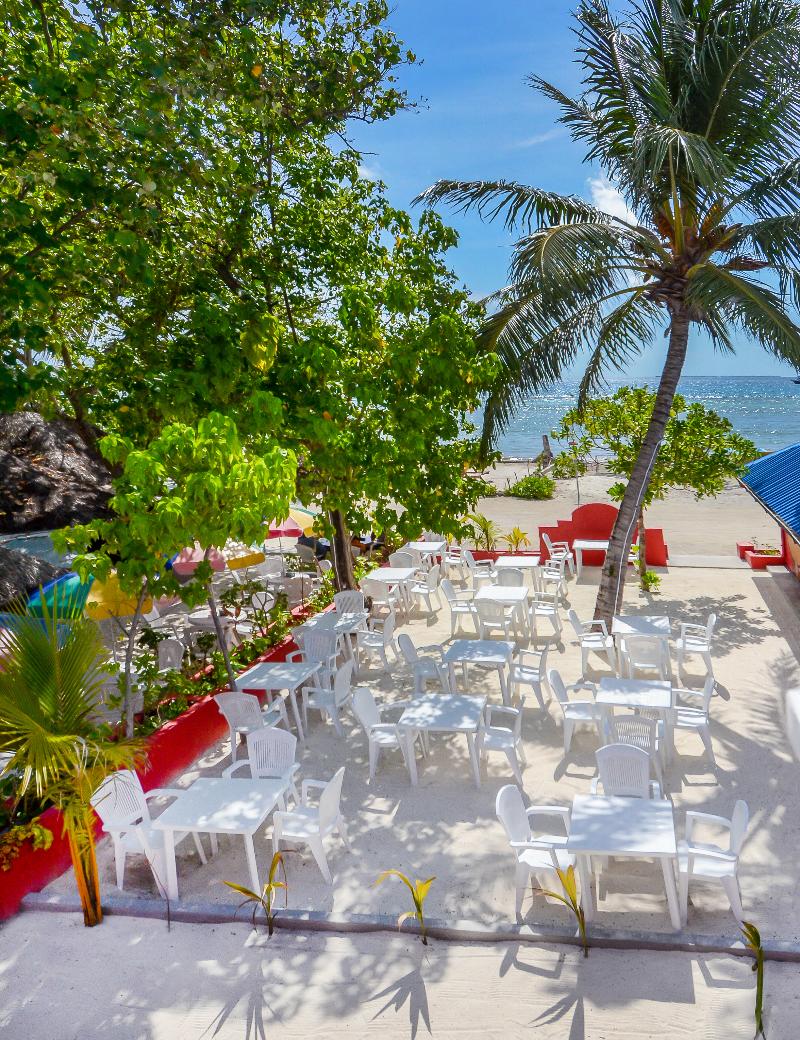 Paradise Retreat — view