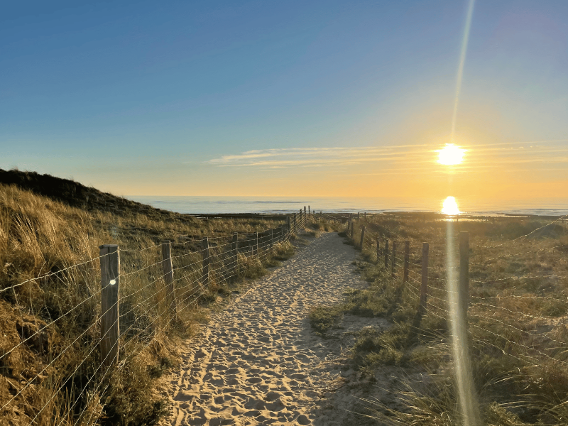 OLYDEA LES SABLES VIGNIERS - OLERON image