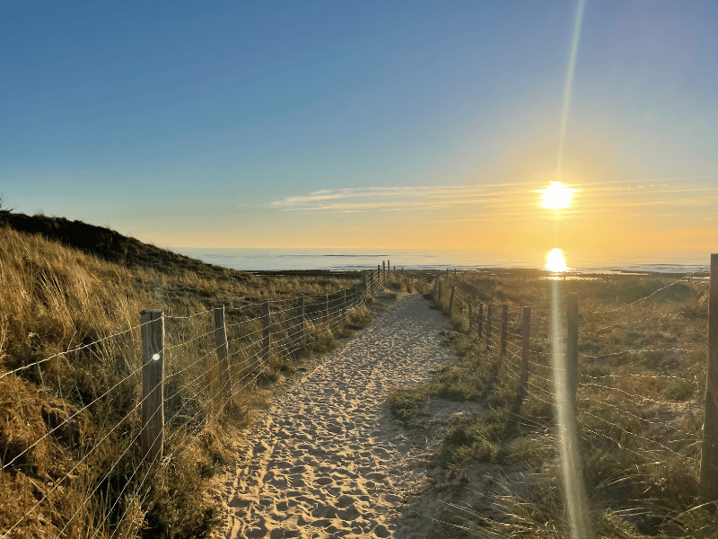 OLYDEA LES SABLES VIGNIERS - OLERON image