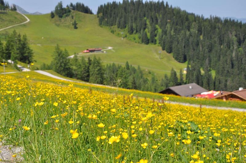 Appartement Schattauer image
