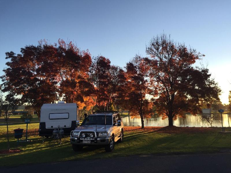Junee Tourist Park image